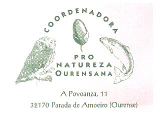 Coordi.jpg (15648 bytes)