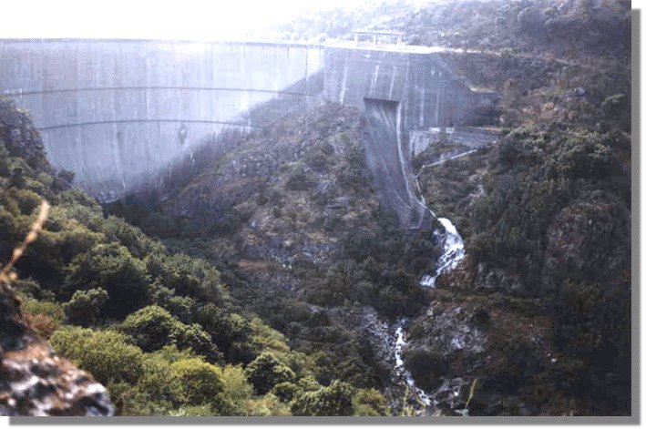 albarellos.jpg (82556 bytes)