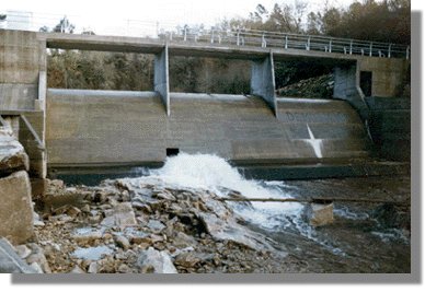 barb80.jpg (30765 bytes)