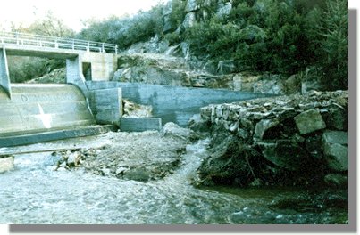 barba81.jpg (37040 bytes)