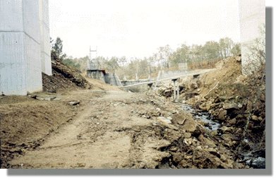 devaca1.jpg (29624 bytes)