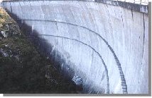 albare10b.jpg (10946 bytes)