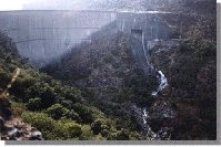 albare2b.jpg (9316 bytes)