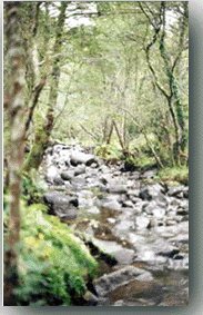 Foto del d�a 11-11-98. R�o seco. Engasa estaba llenando el embalse.