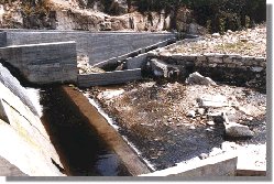 barba80b.jpg (18328 bytes)