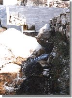 barba84b.jpg (12122 bytes)