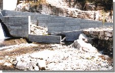 barba85b.jpg (15953 bytes)