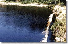 barba86b.jpg (12677 bytes)