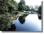 R�o Avia, en Leiro. En 1999 habilitado para el ba�o.