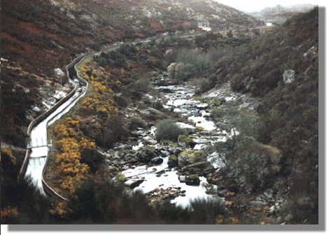 linare22.jpg (47650 bytes)