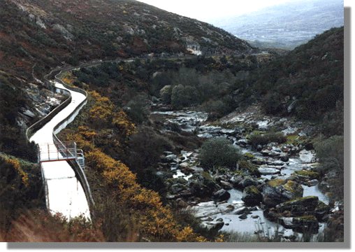 linare23.jpg (54537 bytes)