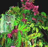 O Carnaval de Brasil