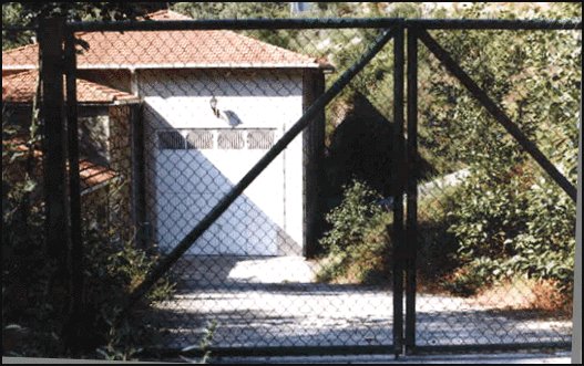 bubal11.jpg (58685 bytes)