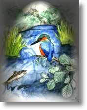 Por un Umia vivo. Non o encoro.