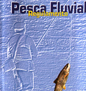 Regu2.JPG (53935 bytes)