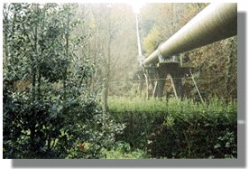 san12.jpg (19764 bytes)