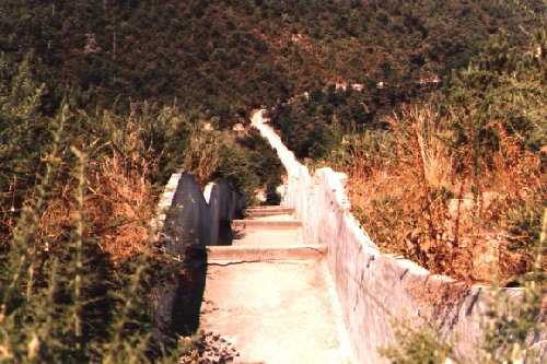 Tun6.jpg (62527 bytes)