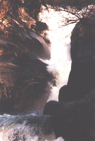 La fervenza en enero de 1988.