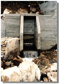 Las escalas? . Vaya chapuza. Medio ambiente las rechaz�.