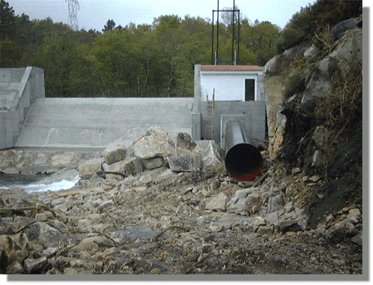 cerves54.jpg (63600 bytes)