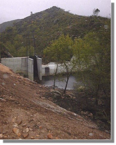 cerves60.jpg (49510 bytes)