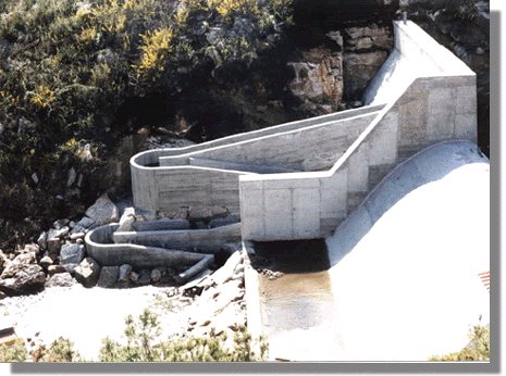 cervesim3.jpg (45869 bytes)