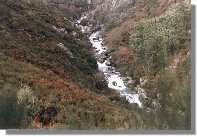 cierva37.jpg (10671 bytes)