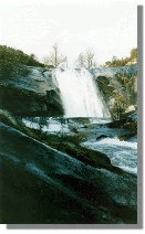 cierva39.jpg (8468 bytes)