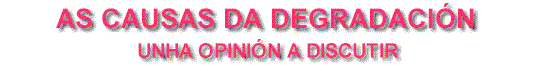 As causas da degradaci�n. Unha opini�n a discutir.