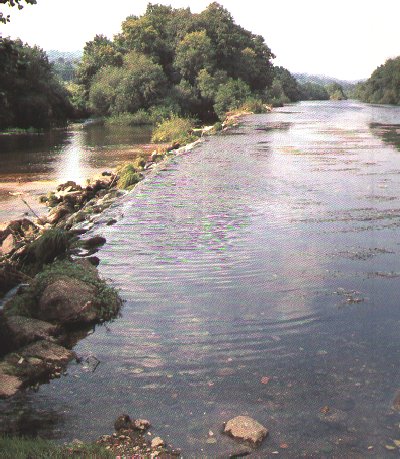 Ourense Natural: R�o Avia.