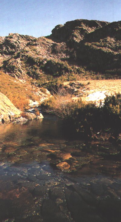 Ourense Natural: R�o Cerbeira. Aguas cristalinas.