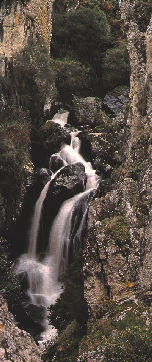 Ourense Natural: A Ferbenza do F�rbida.