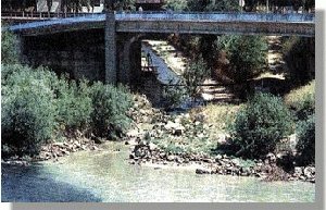 R�o Barba�a, r�o pocilga.