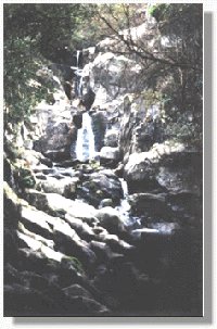 ferve11982.jpg (21854 bytes)